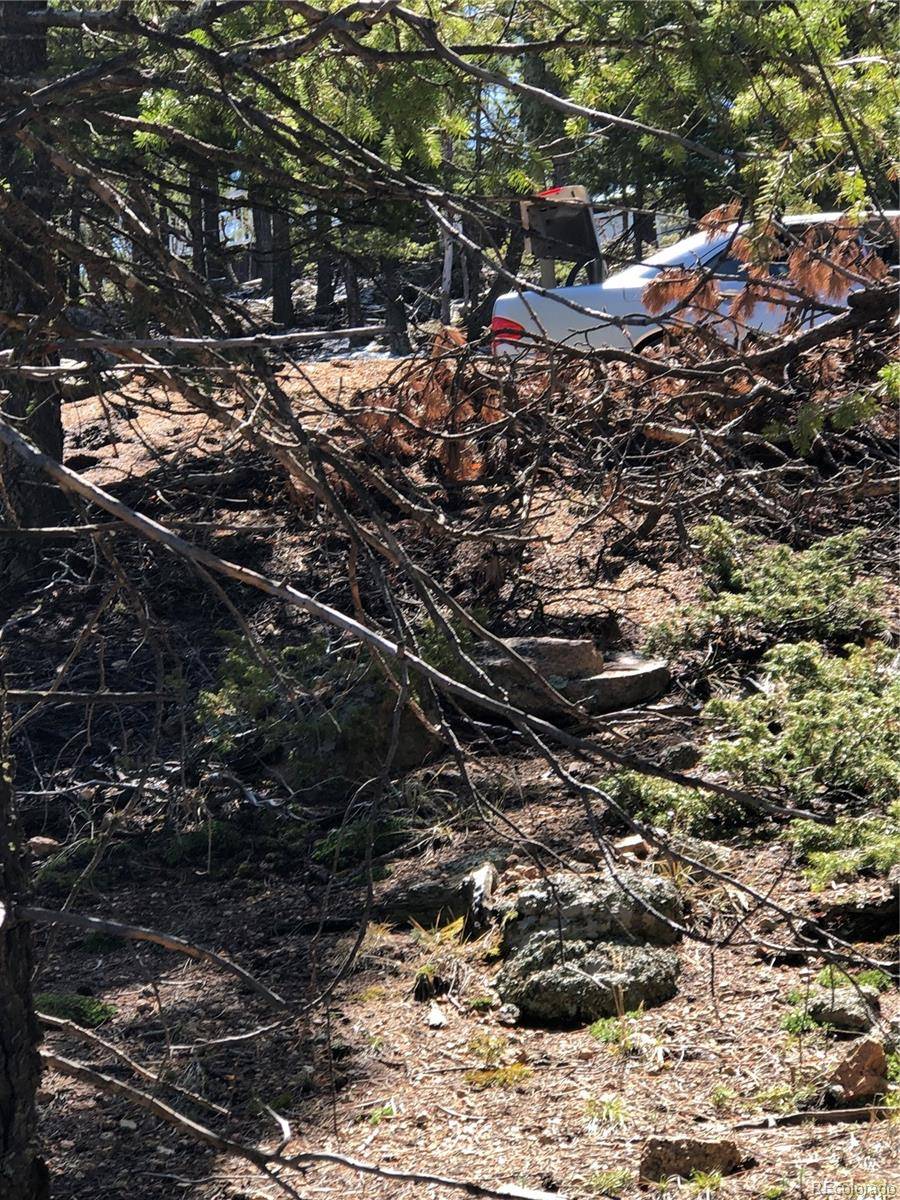 Woodland Park, CO 80863,213 Osoeola RD