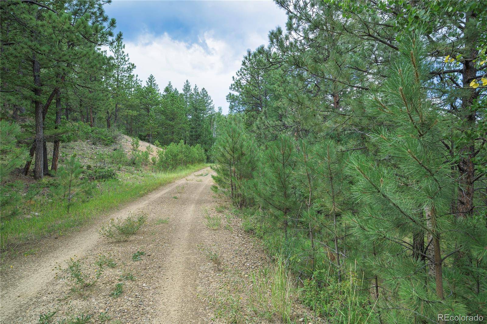 Weston, CO 81091,18990 Bellanca CIR