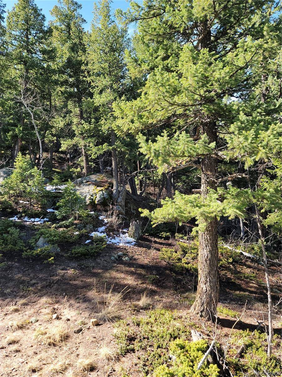 Evergreen, CO 80439,Fern gulch