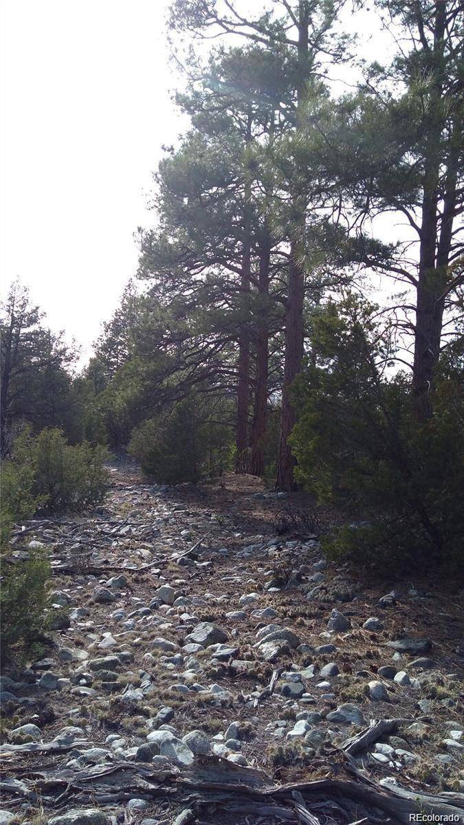 Mosca, CO 81146,13 Costilla PL