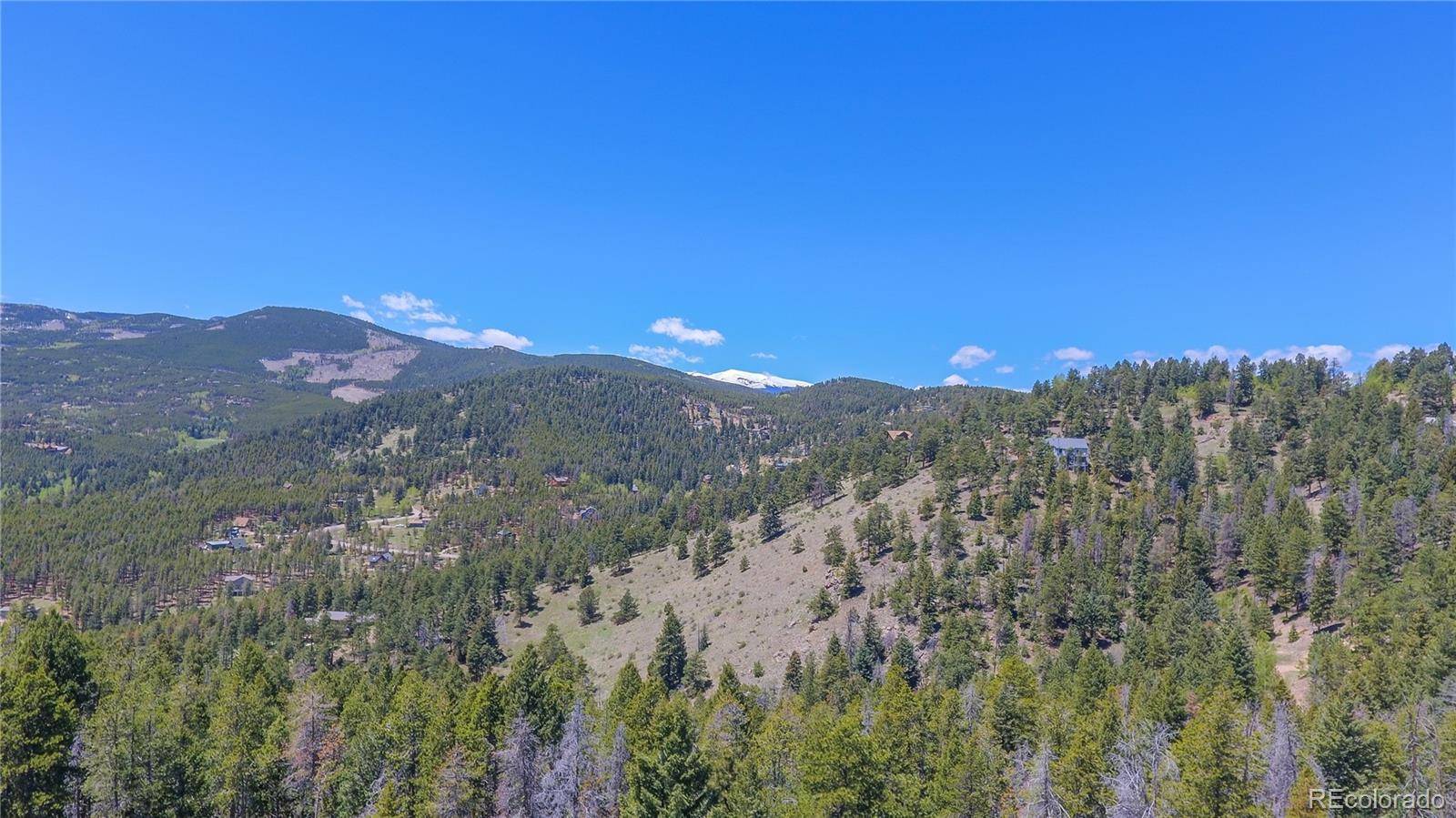 Evergreen, CO 80439,7148 Lodgepole CT