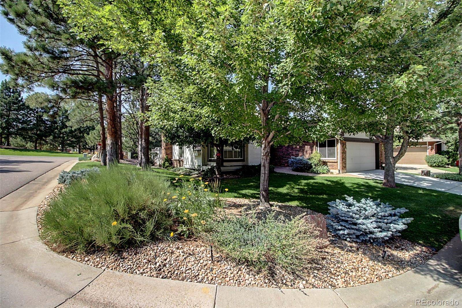 Littleton, CO 80127,19 Pinyon Pine RD