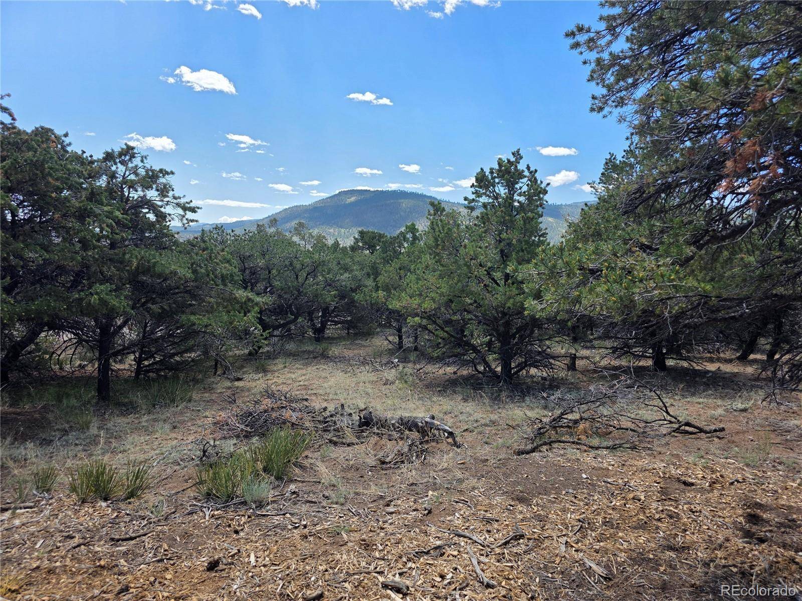 South Fork, CO 81154,163 Loveland Pass RD