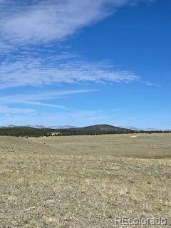 Hartsel, CO 80449,148 Grand Teton DR