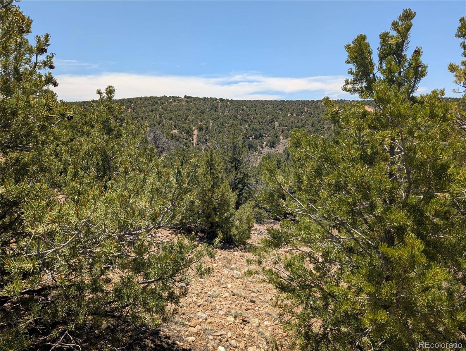 Fort Garland, CO 81133,Lot 3885 Galloway RD