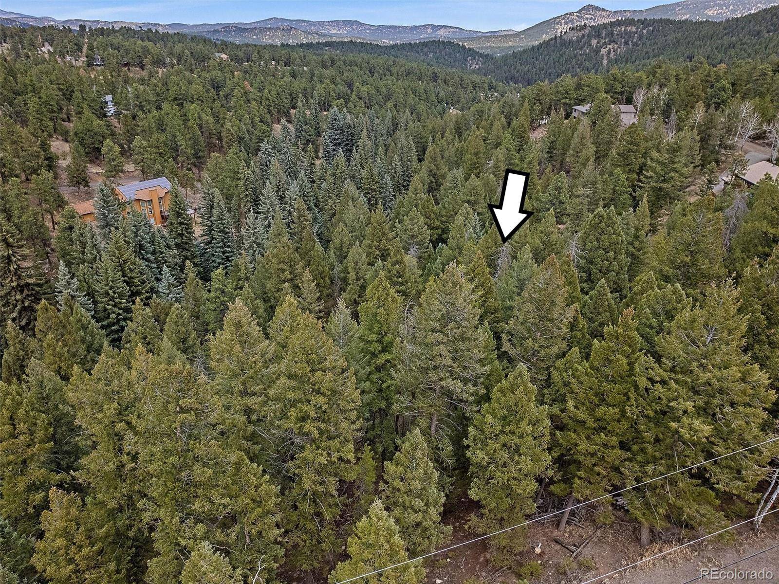 Evergreen, CO 80439,6448 Elaine RD