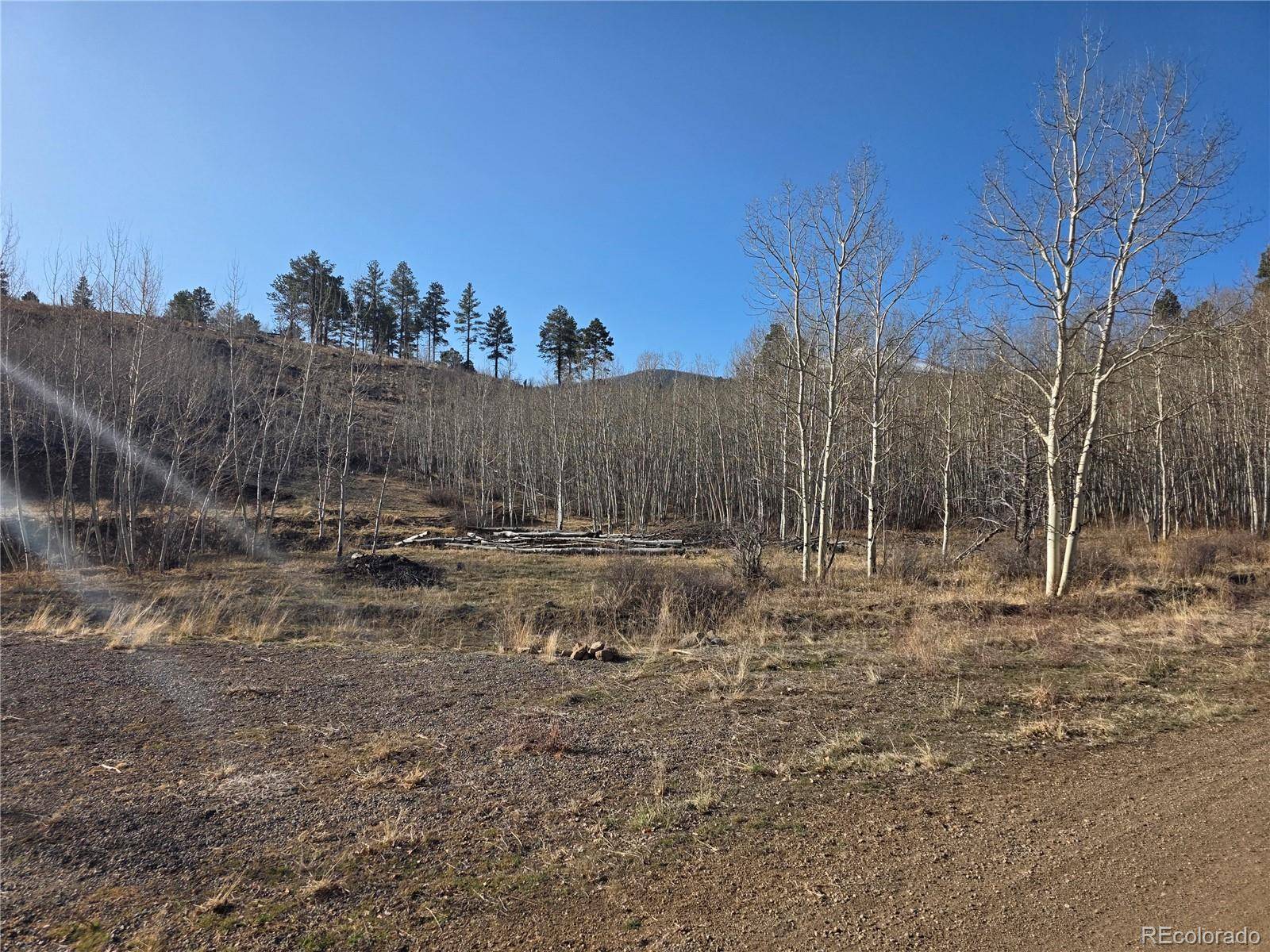 South Fork, CO 81154,302 Rickel CIR
