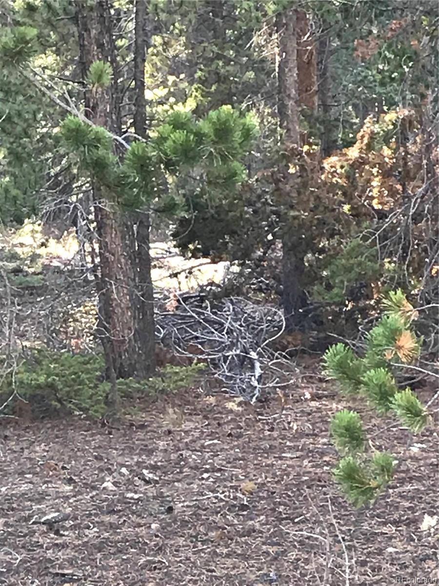 Black Hawk, CO 80422,753.1 Forest Service RD