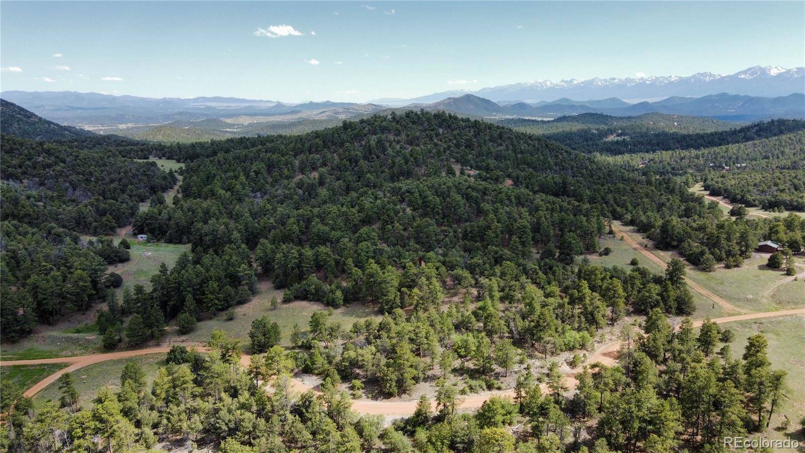 Cotopaxi, CO 81223,48 Pine DR