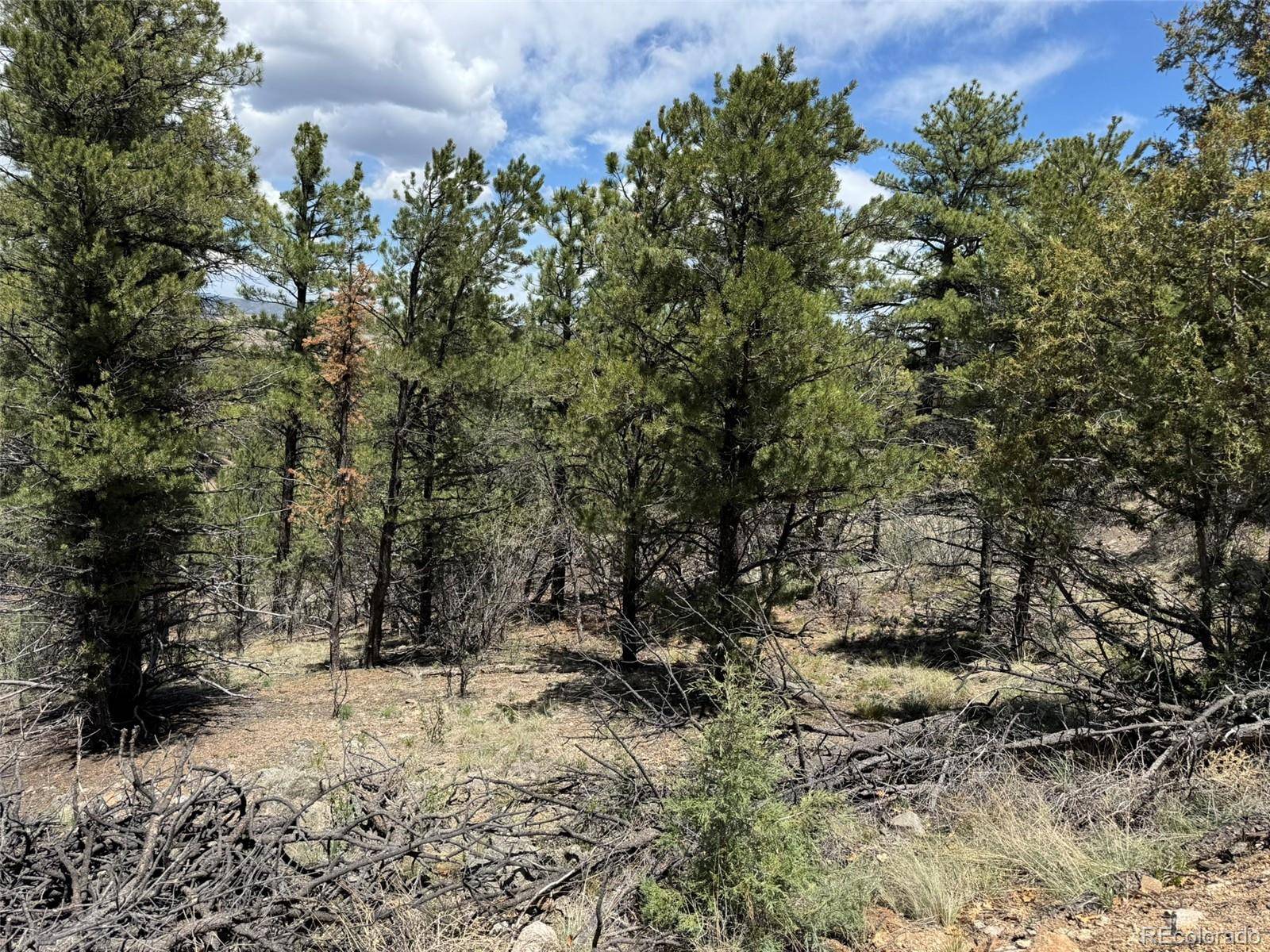 Cotopaxi, CO 81223,TBD 33rd
