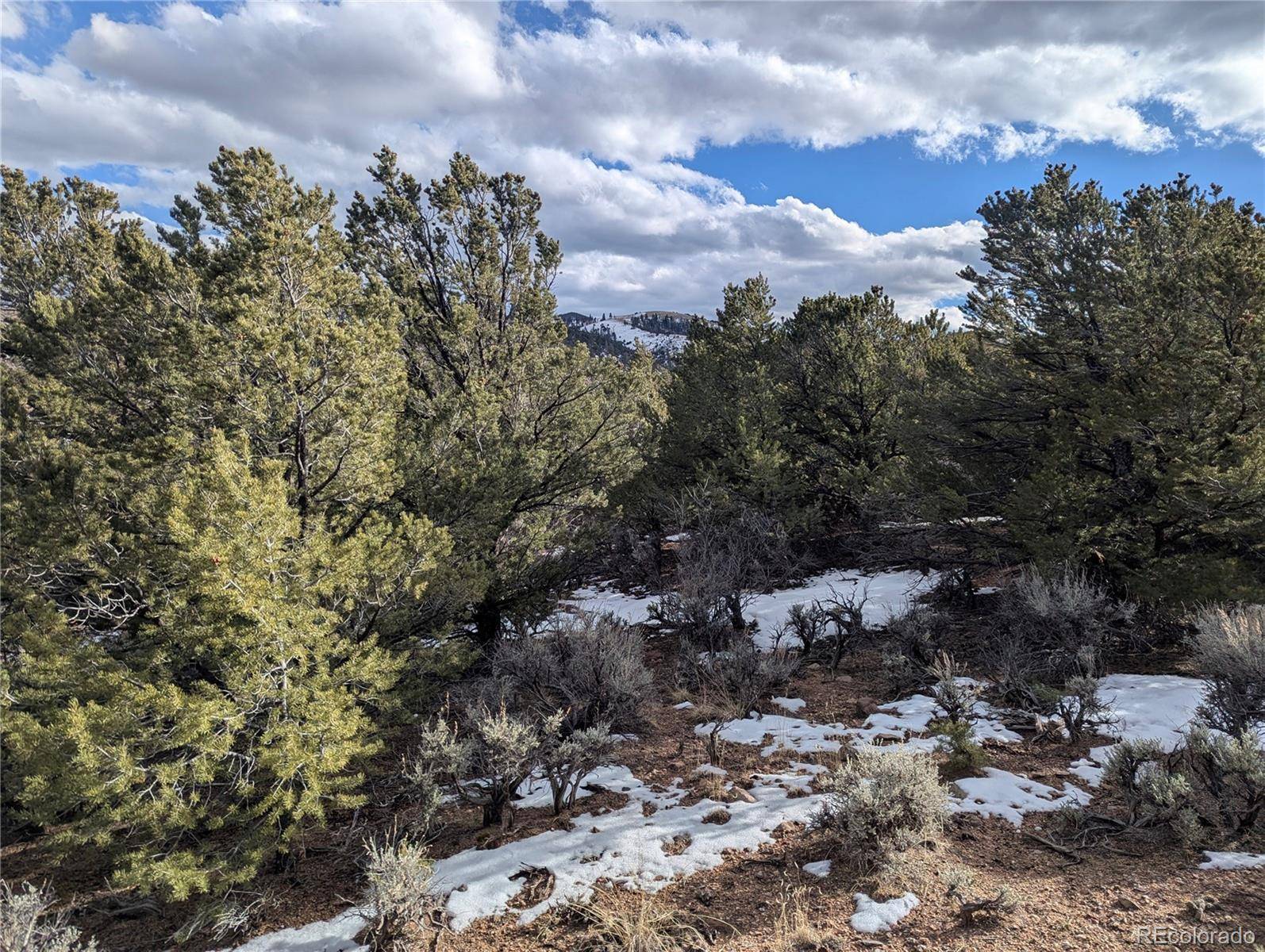 Fort Garland, CO 81133,7831 Mallott RD