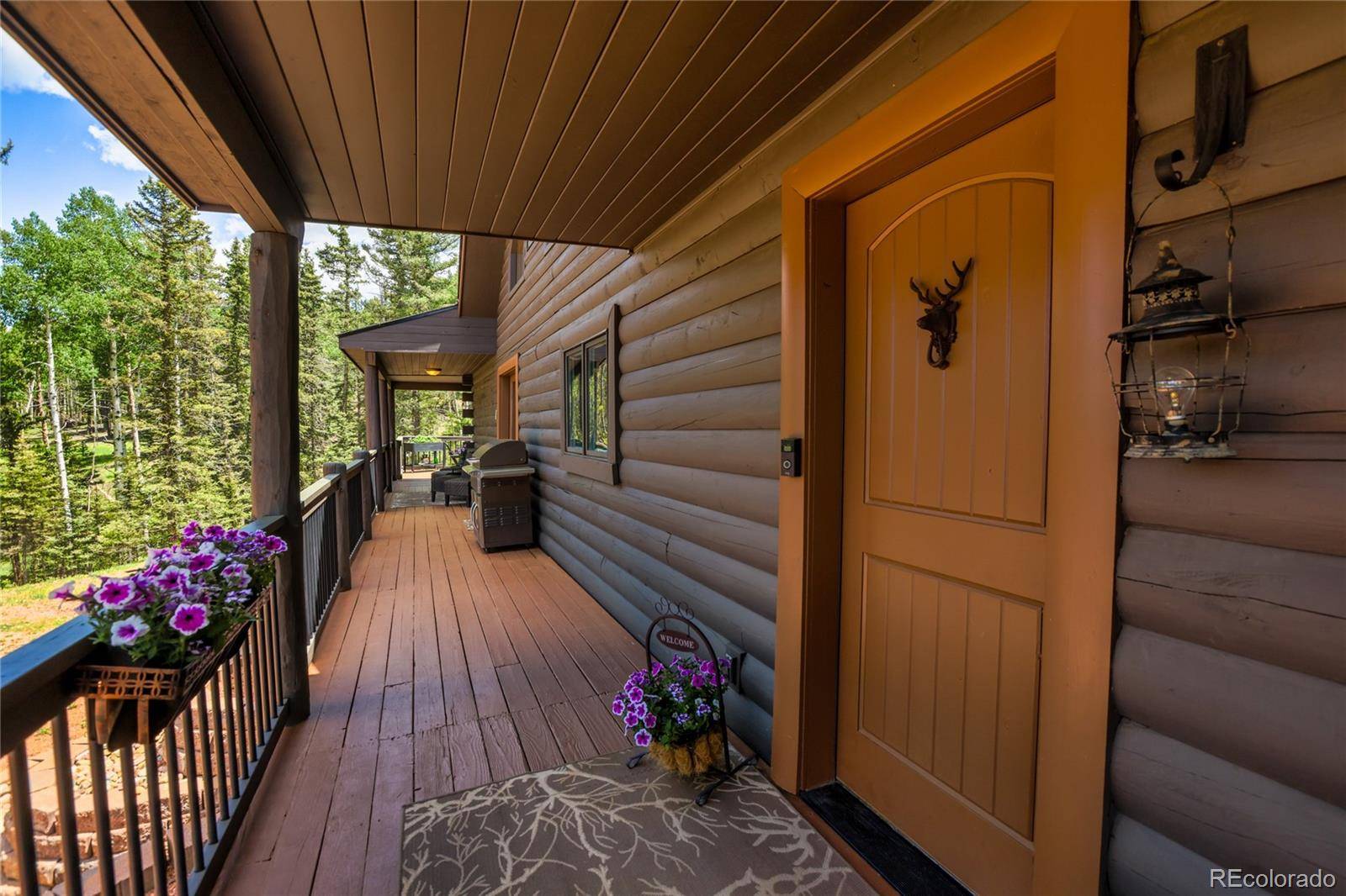 Florissant, CO 80816,101 Daniwood GRV