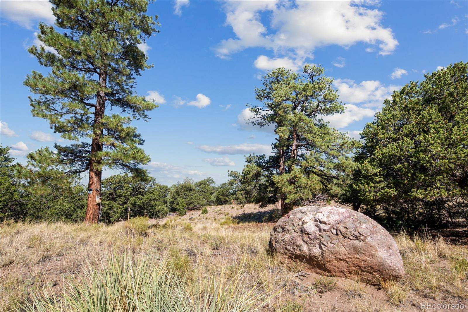 Crestone, CO 81131,961 Ridgeview WAY