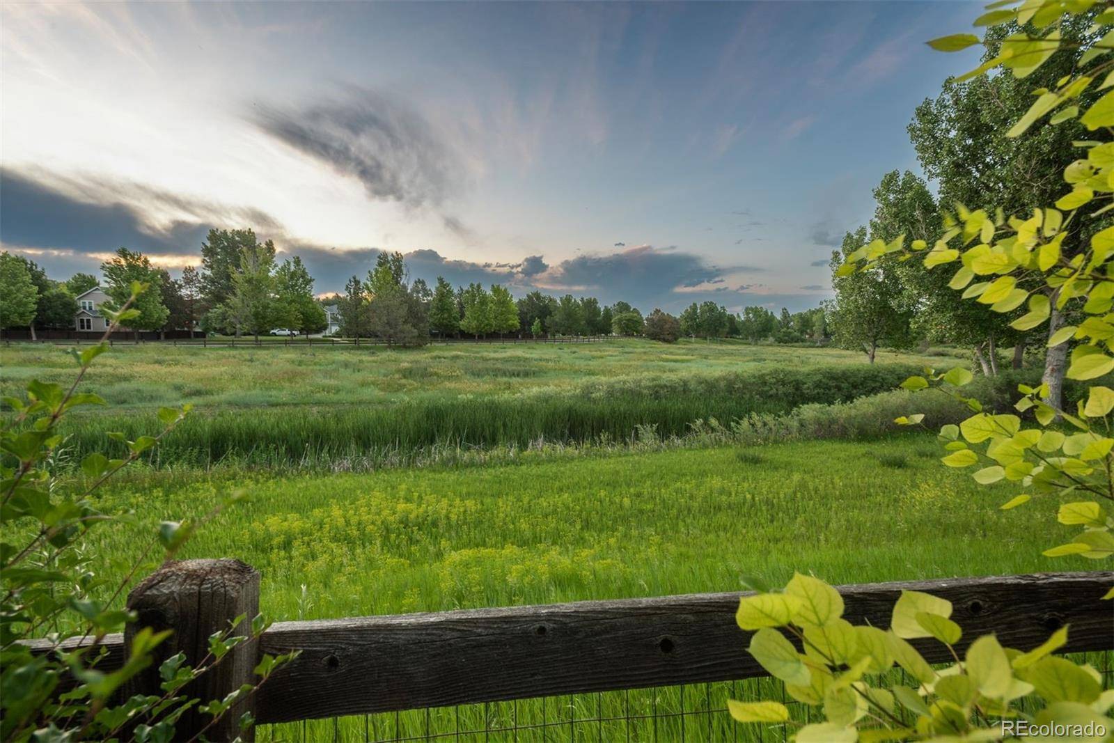 Parker, CO 80134,16667 Tin Cup CT
