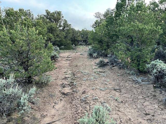 Fort Garland, CO 81133,7386 Platten RD