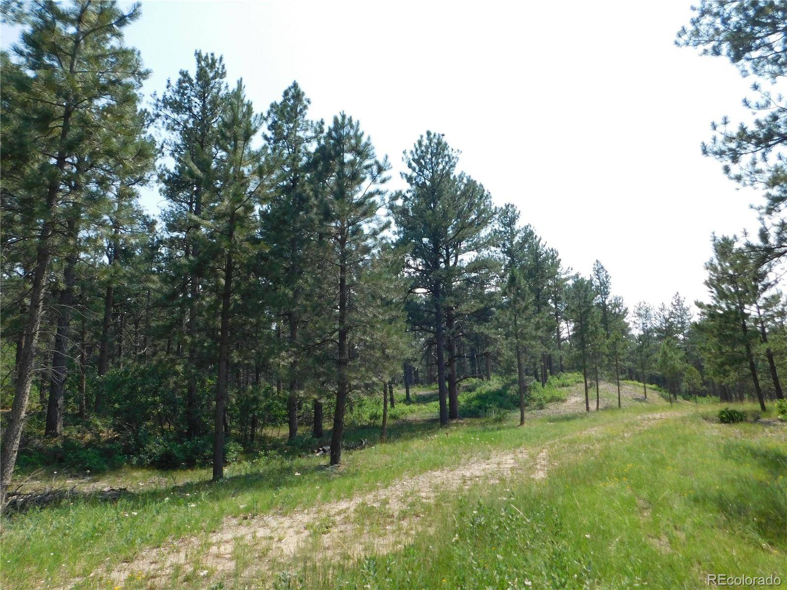 Larkspur, CO 80118,7280 Sable RD