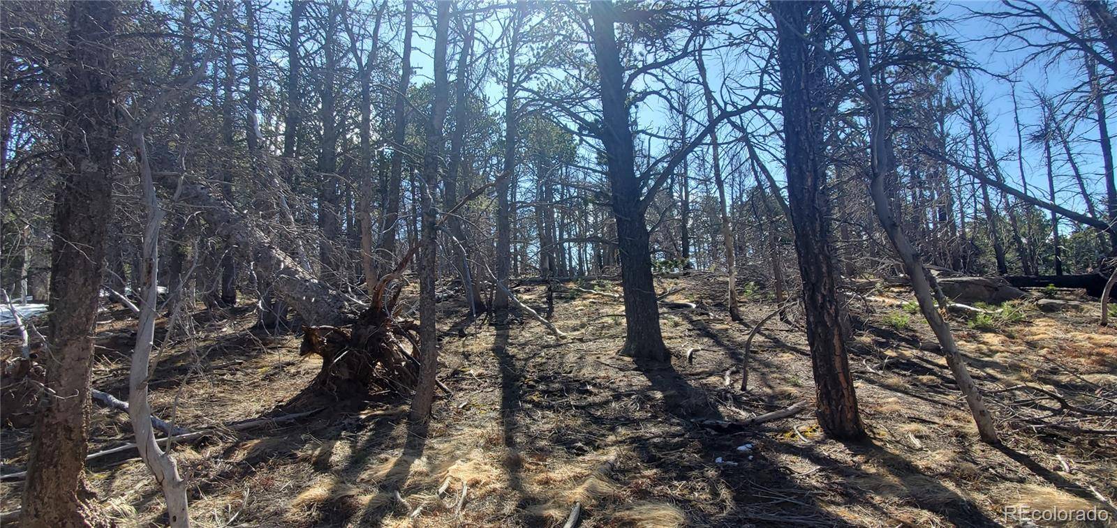 Fort Garland, CO 81133,Lot 2739 Newman PL