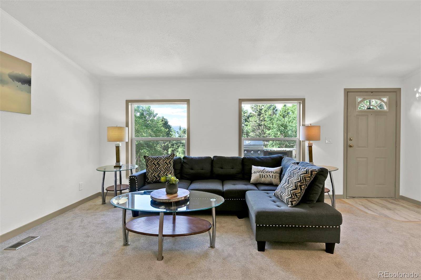 Woodland Park, CO 80863,451 Fern RD
