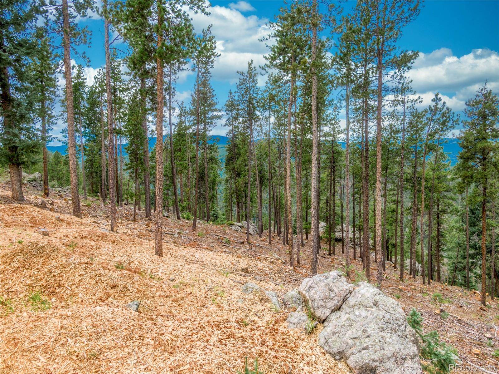 Evergreen, CO 80439,0 Granite Crag