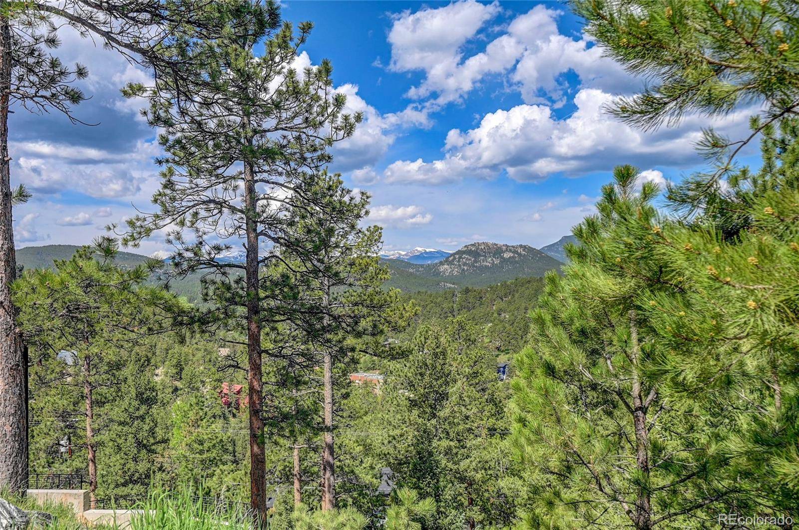 Evergreen, CO 80439,4465 Forest TRL