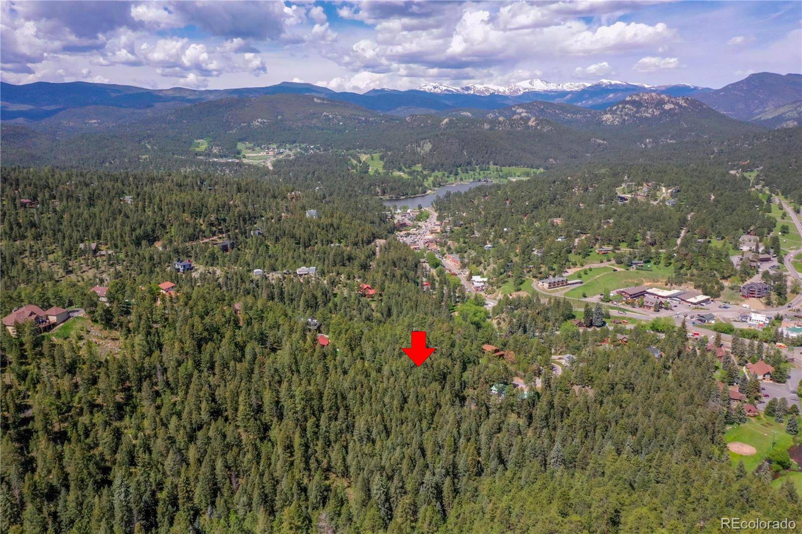 Evergreen, CO 80439,4465 Forest TRL