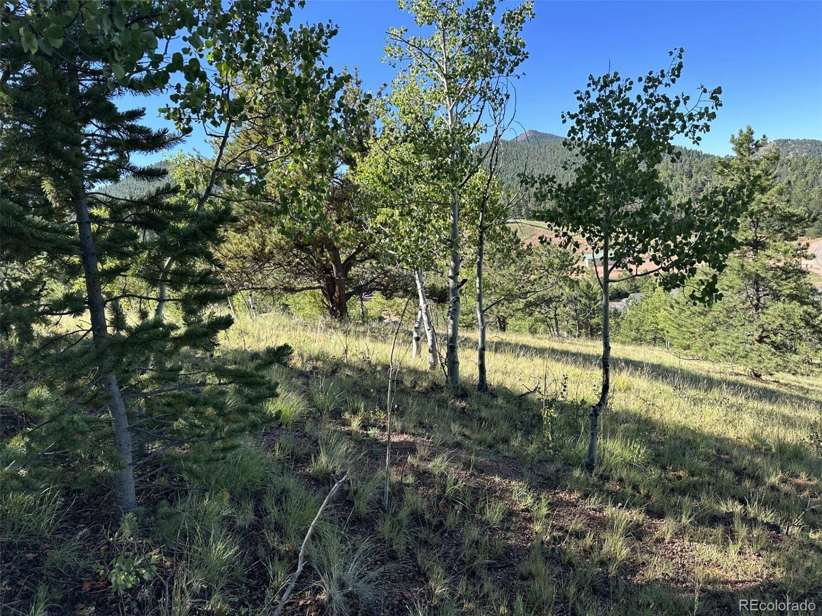 Cripple Creek, CO 80813,419 Midday CIR