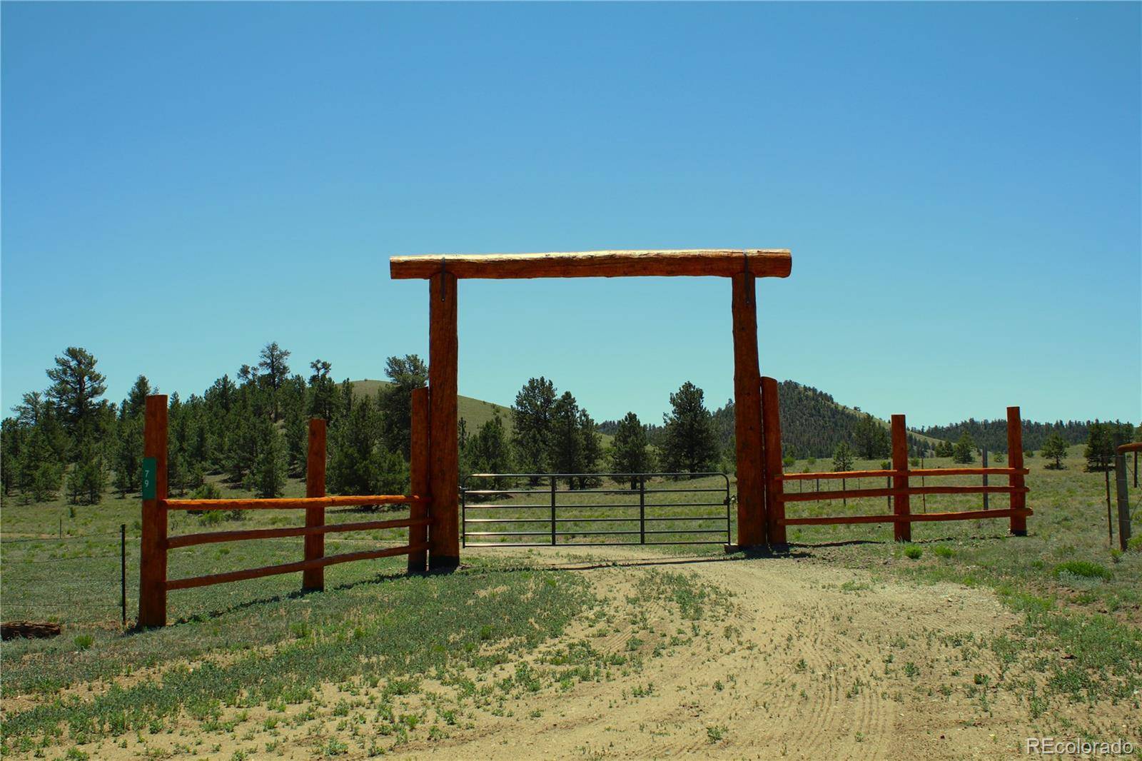 Hartsel, CO 80449,79 Quail CT