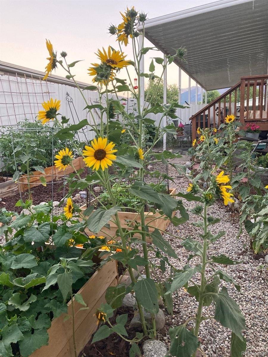 Salida, CO 81201,901 Maple DR