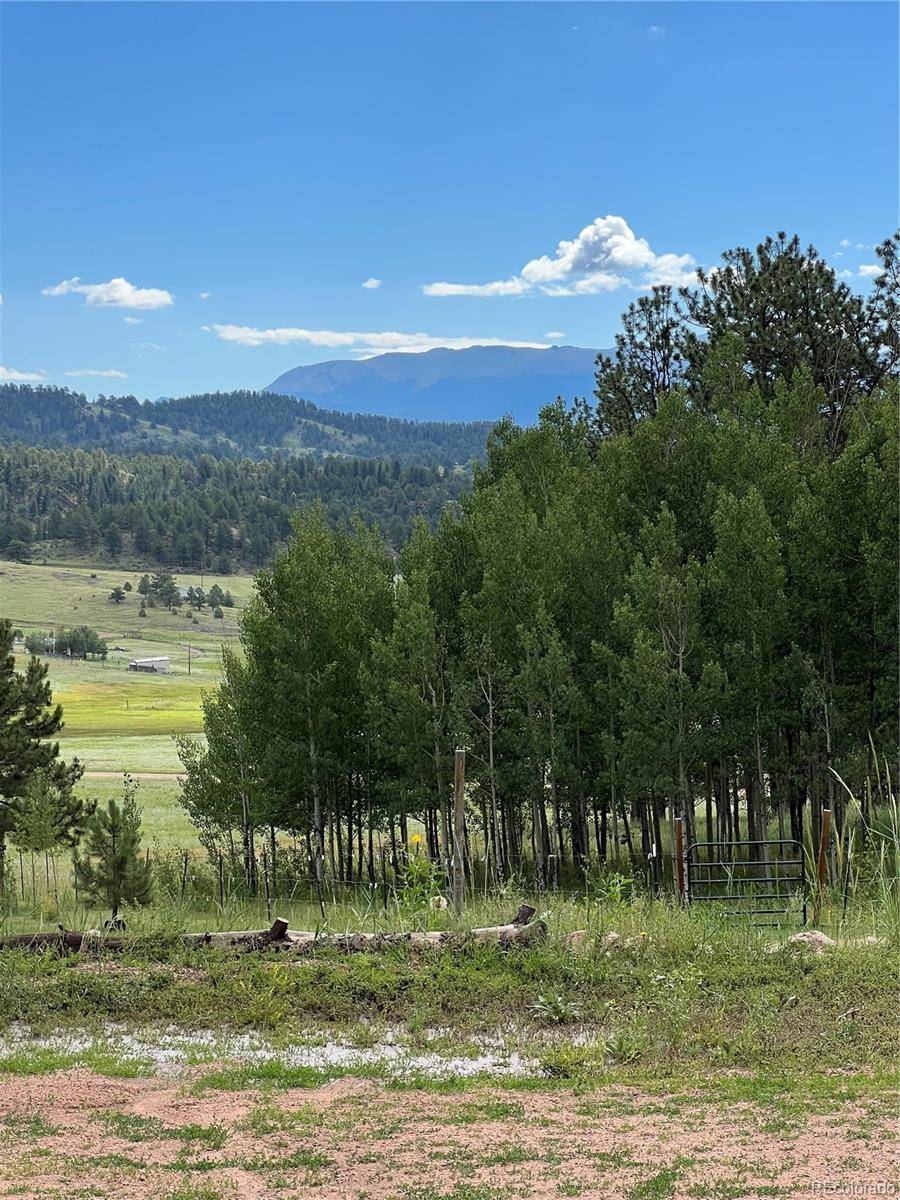 Florissant, CO 80816,286 Cambell LN