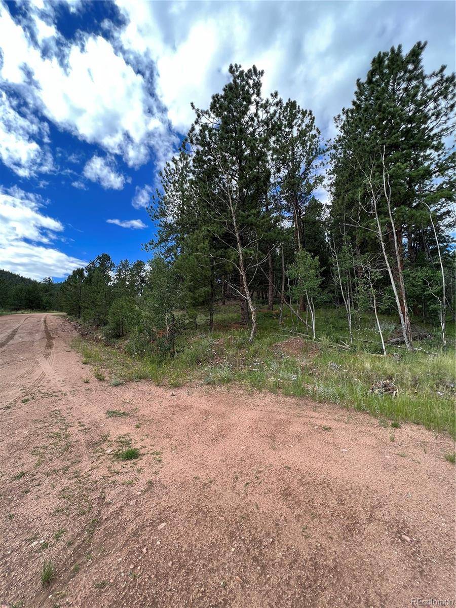 Florissant, CO 80816,286 Cambell LN