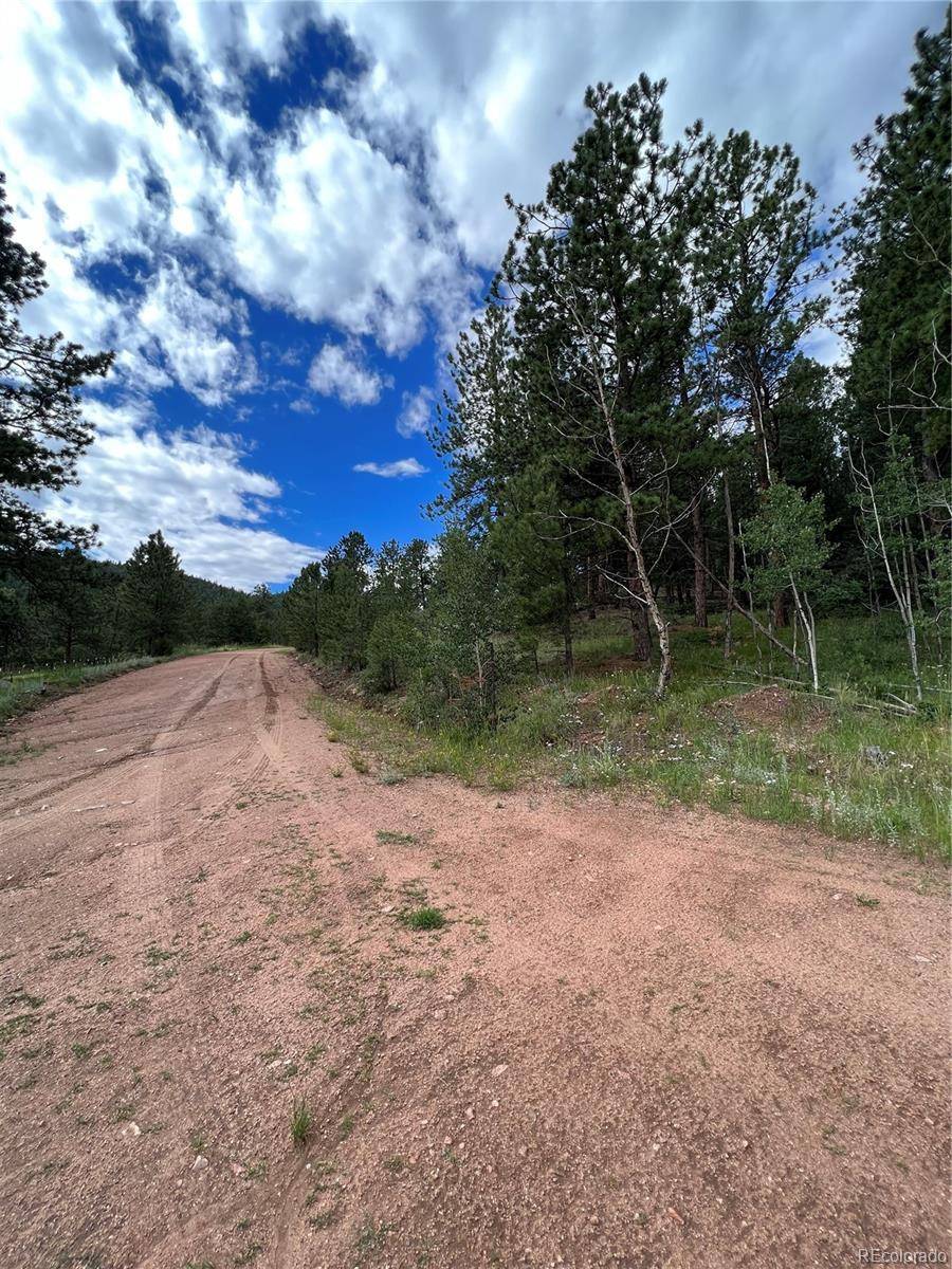 Florissant, CO 80816,286 Cambell LN