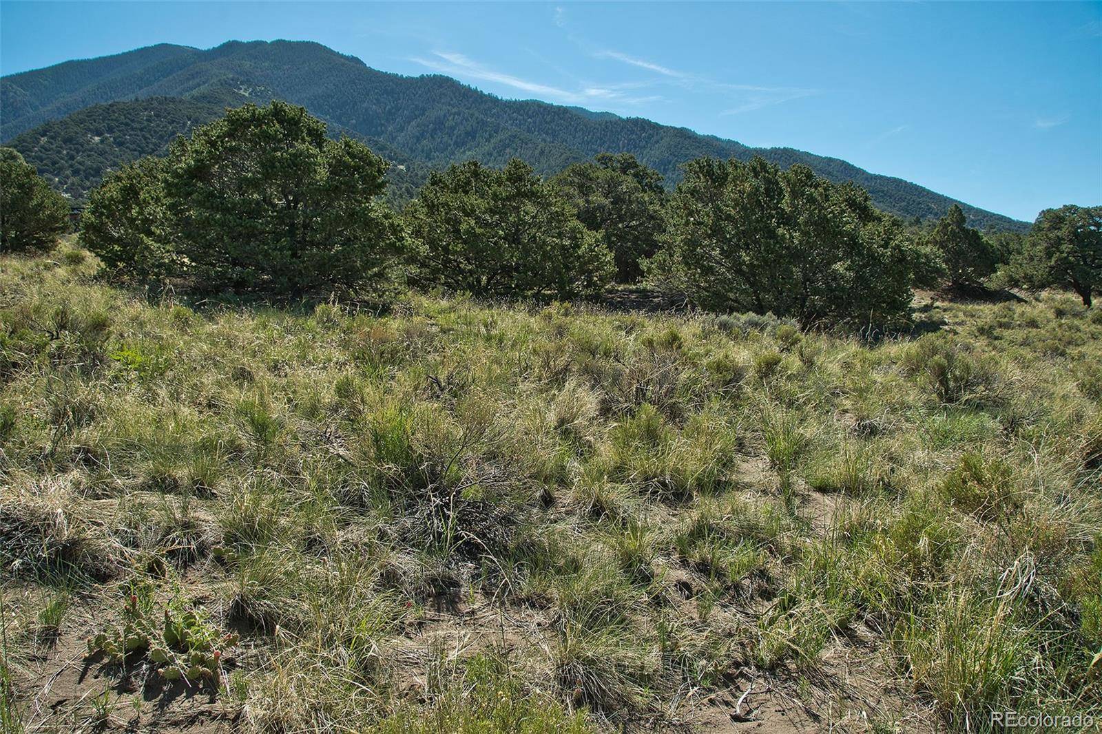 Crestone, CO 81131,4438 Rarity CT