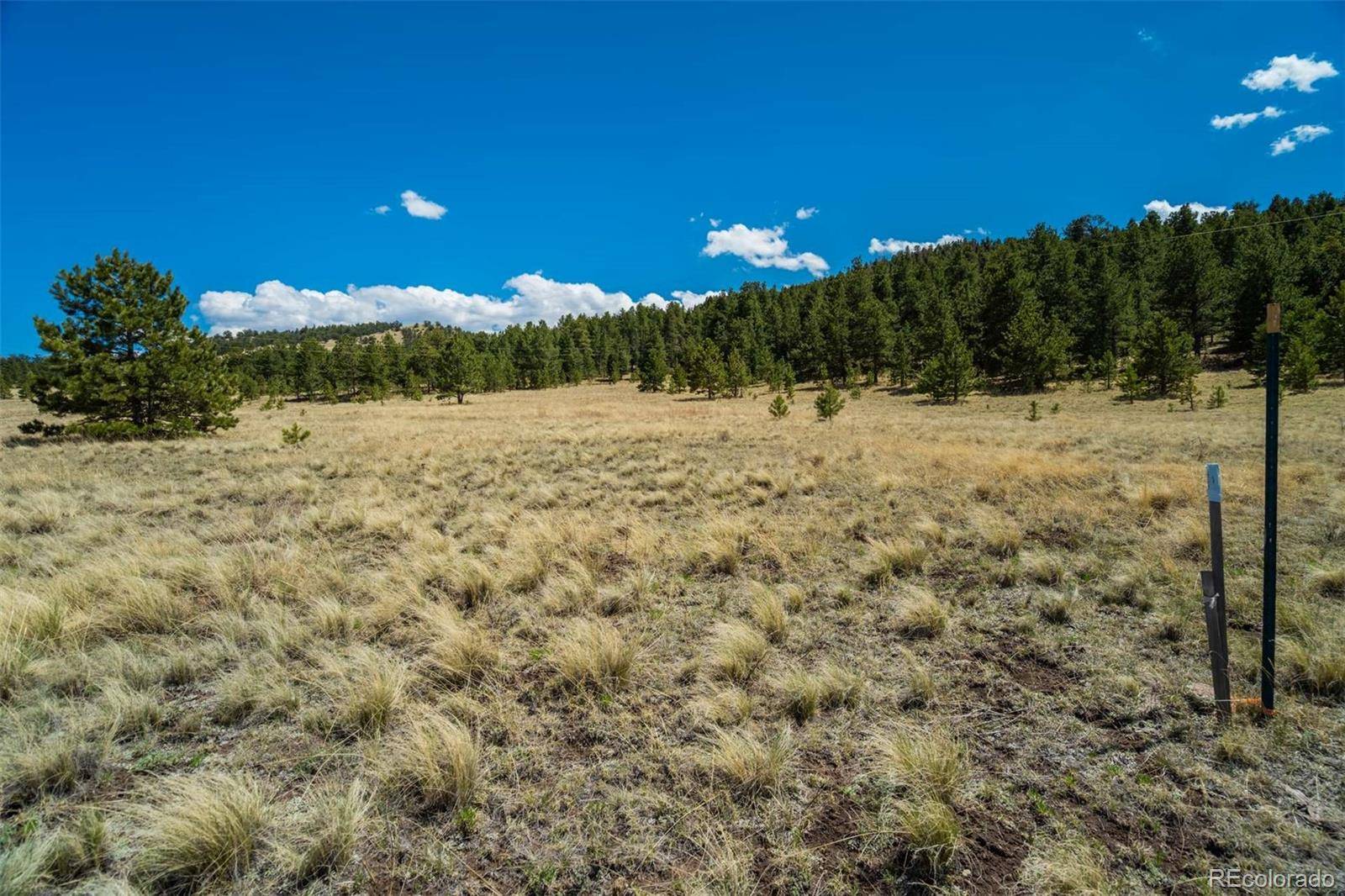 Guffey, CO 80820,128 Nancy Ann Arroyo