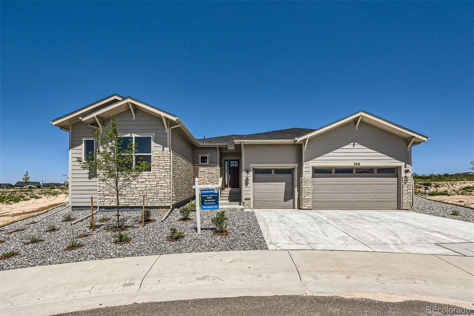 Castle Rock, CO 80104,366 Agoseris WAY