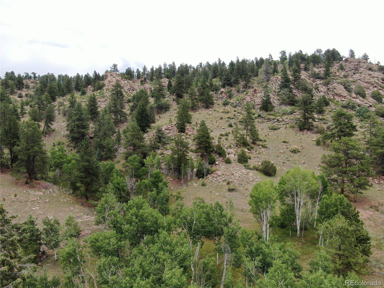 Florissant, CO 80816,76 Crocus CIR