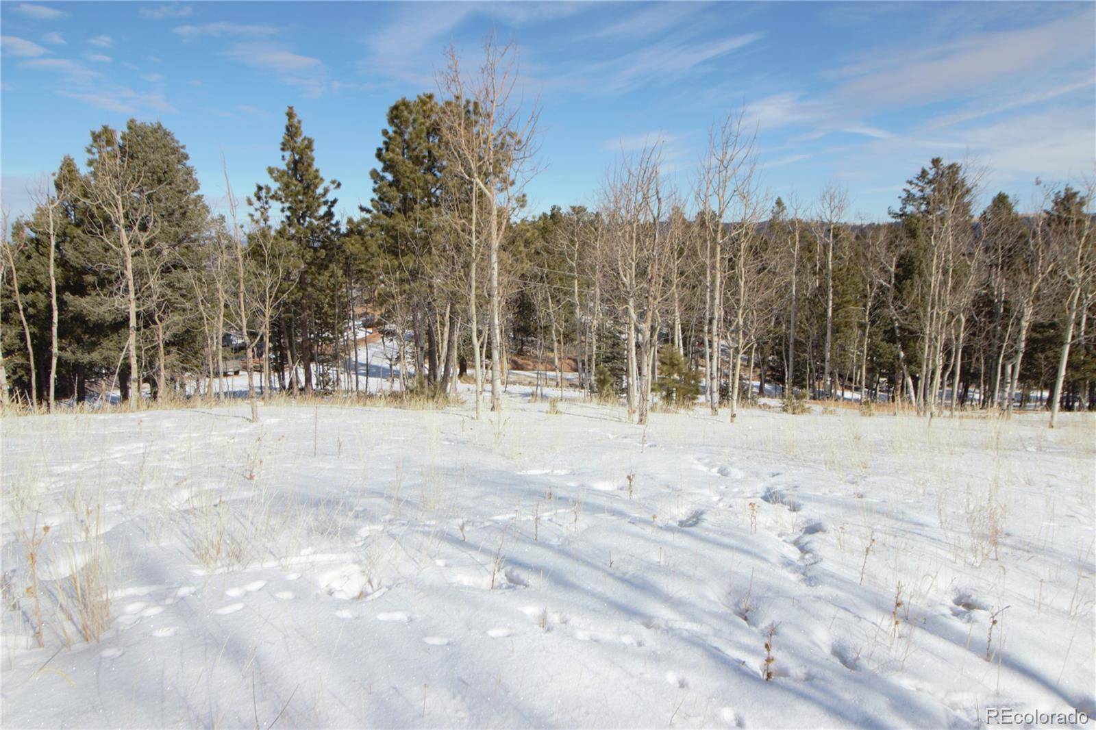 Woodland Park, CO 80863,527 Klitowya TRL