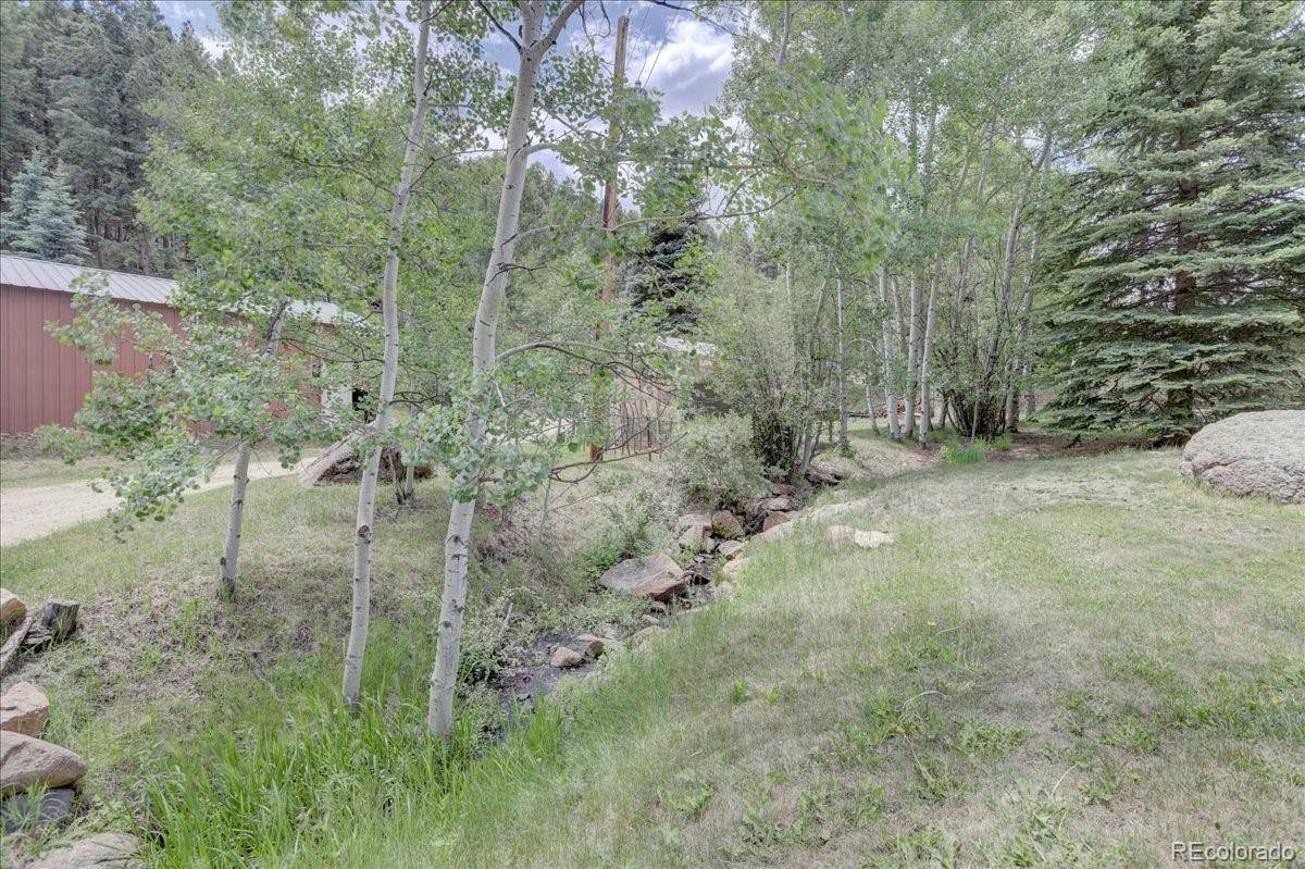 Bailey, CO 80421,384 Brookside DR