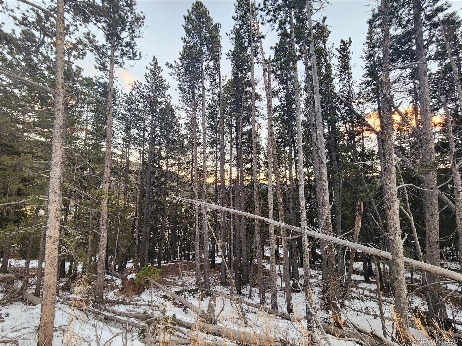 Idaho Springs, CO 80453,000 Alice Road