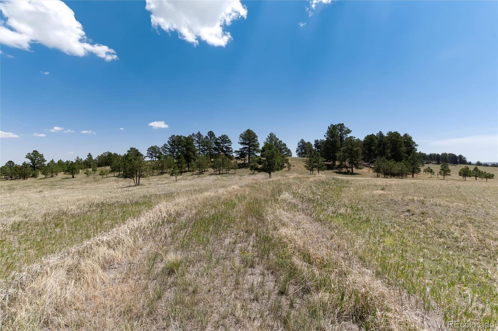 Elizabeth, CO 80107,0 Remuda Trail