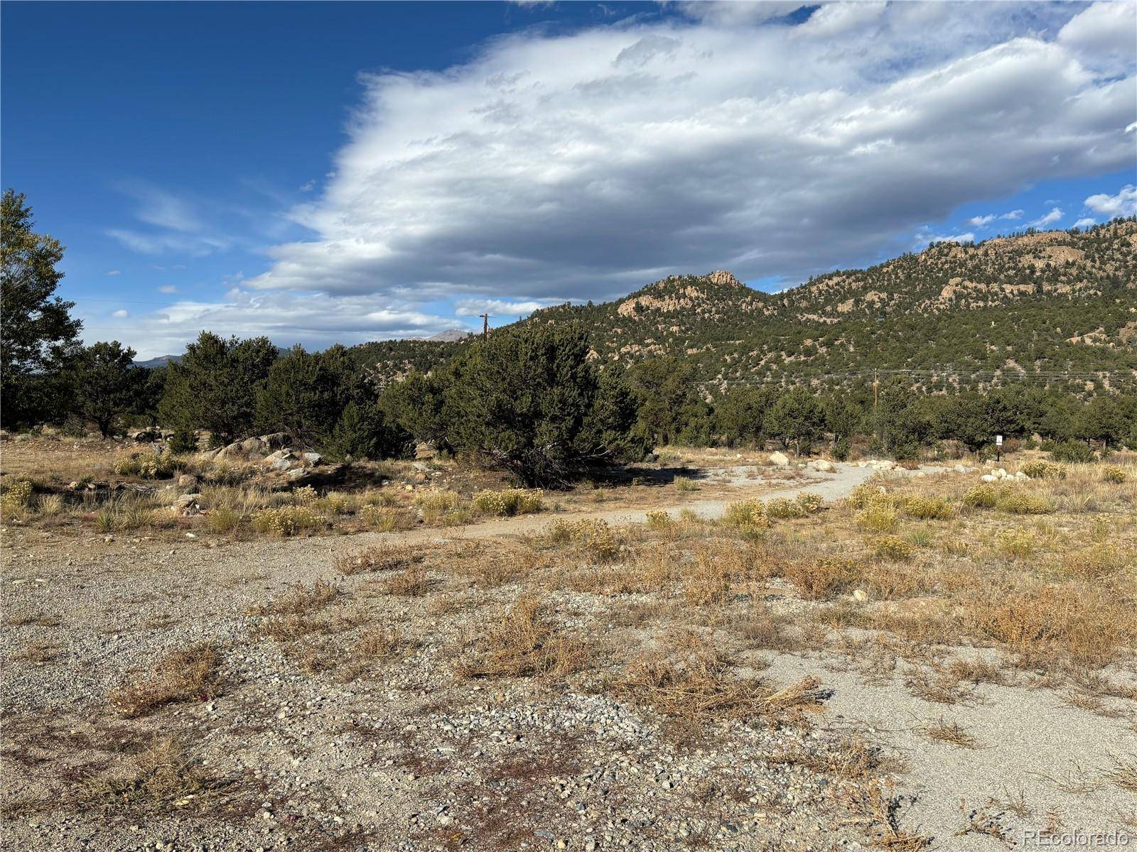 Buena Vista, CO 81211,393 N Beldan ST