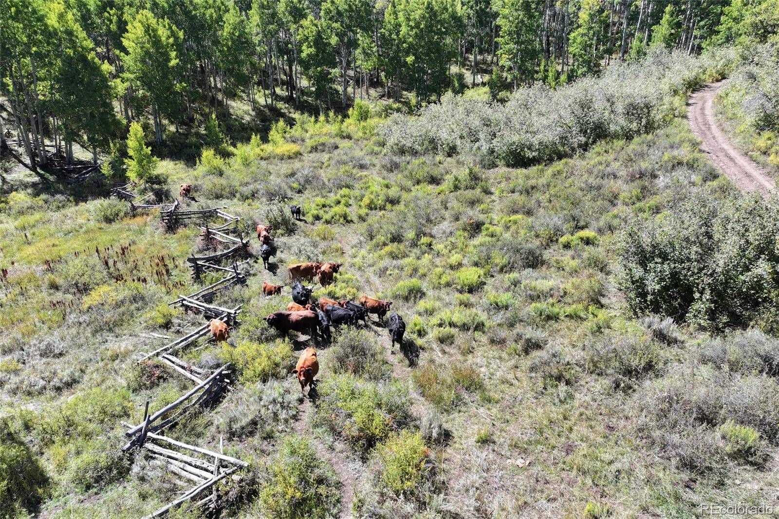 Whitewater, CO 81527,000 Divide RD