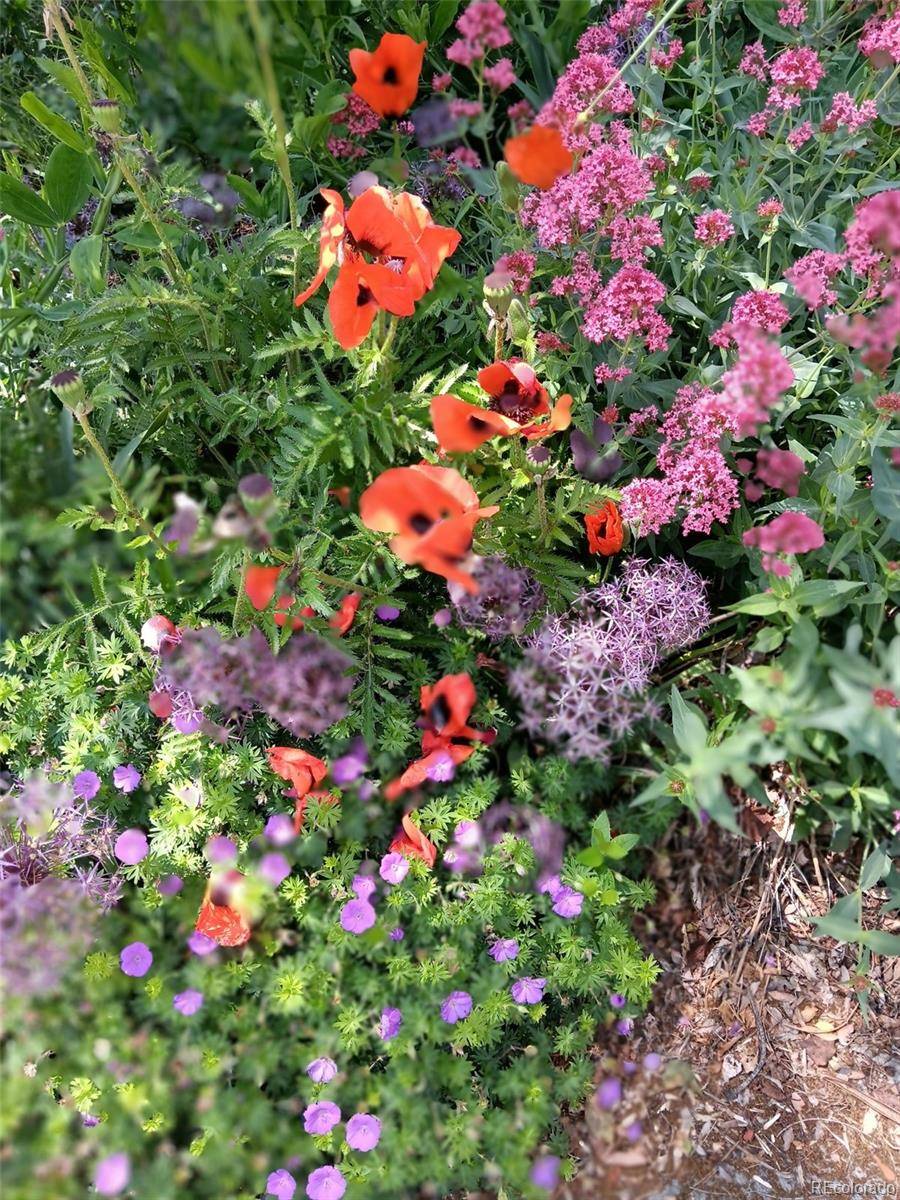 Denver, CO 80237,8095 E Lehigh AVE