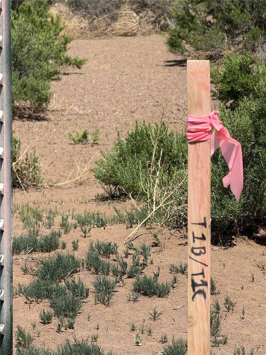 Mosca, CO 81146,1A N 2 Lane