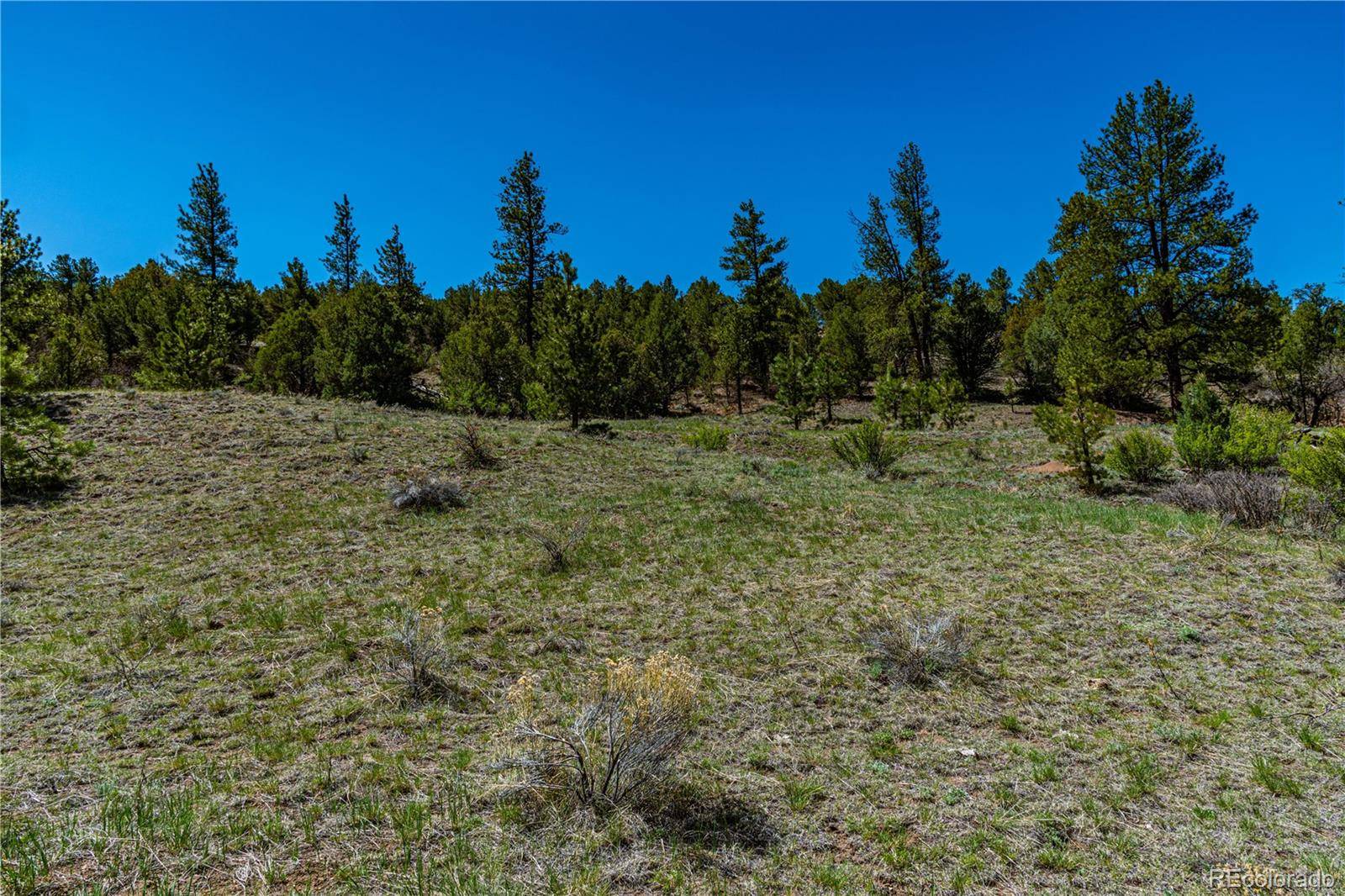 Cotopaxi, CO 81223,TR-17 White Wing WAY