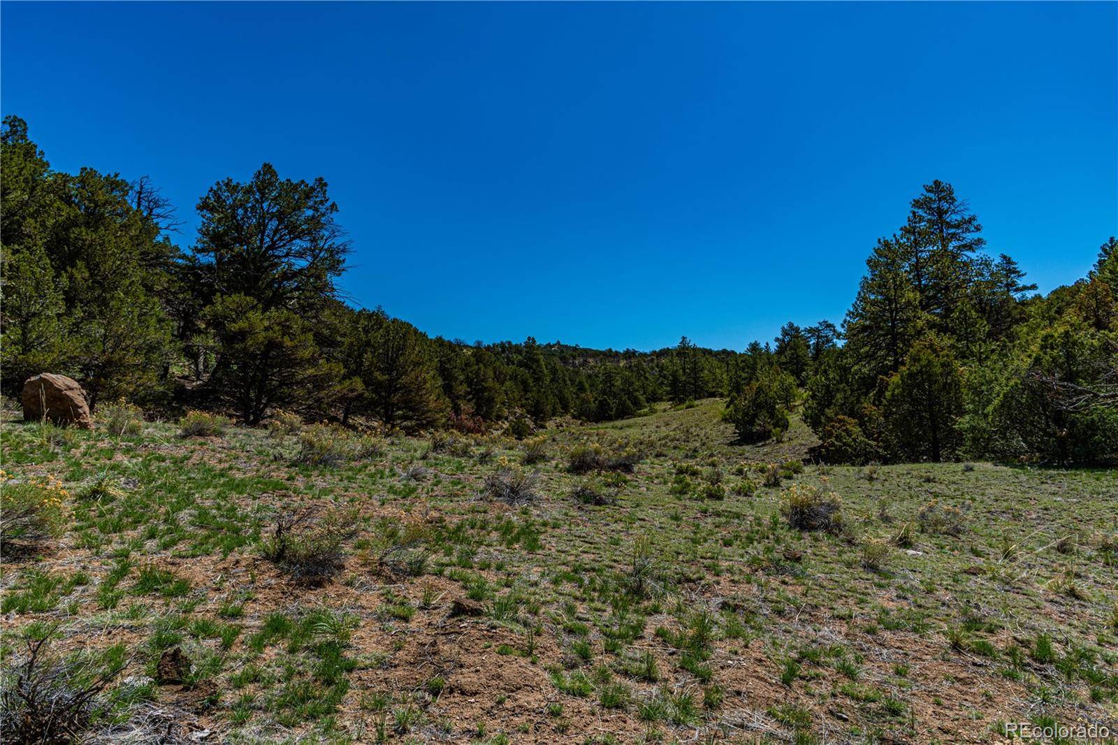 Cotopaxi, CO 81223,TR-17 White Wing WAY