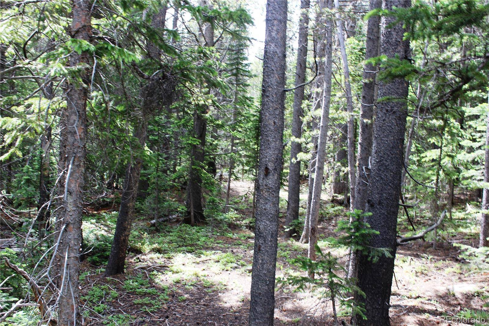 Idaho Springs, CO 80452,Lot 209 Upper Forest RD