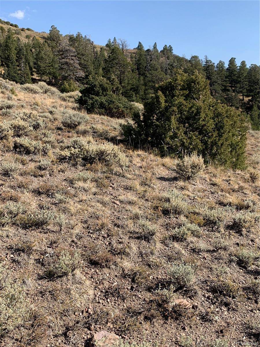 Fort Garland, CO 81133,5079&5087 Delancey RD