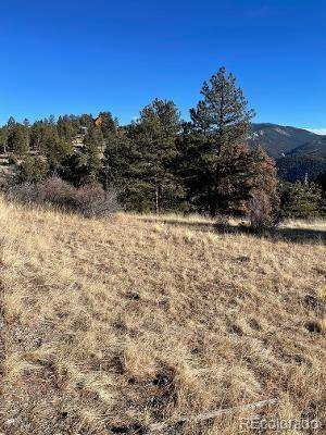 Idaho Springs, CO 80444,19436 JAMES LODE MINE