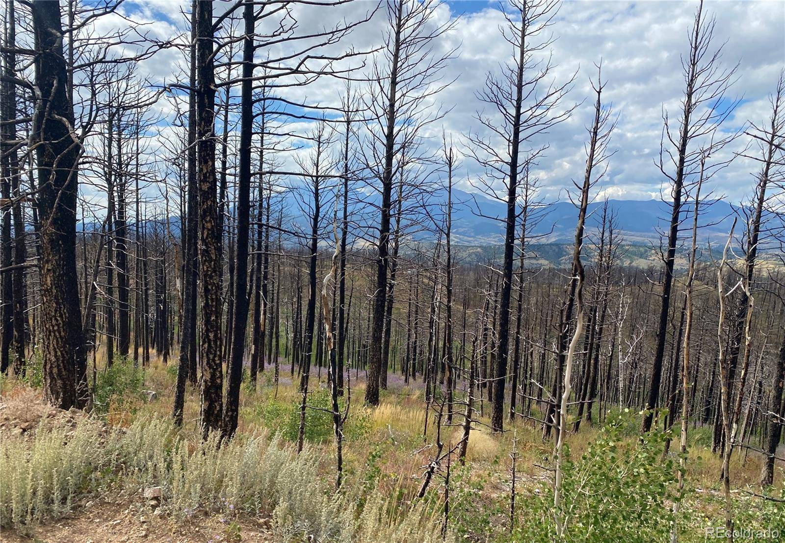 Fort Garland, CO 81133,398 Soubry PL