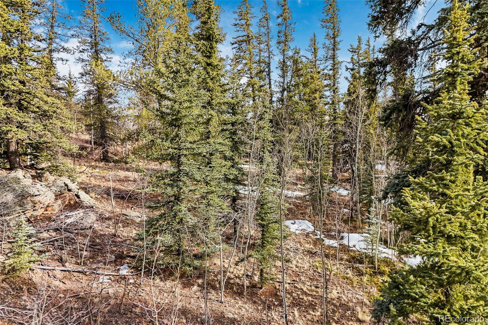 Jefferson, CO 80456,67 Bear LN